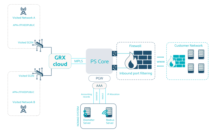 Fixed Public IP Standard