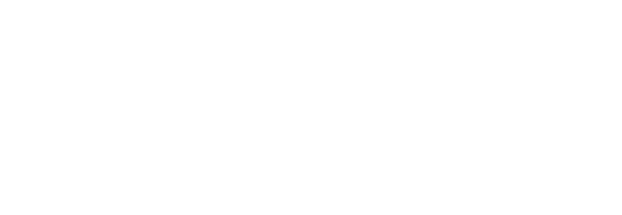 Velos IoT white logo